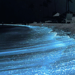 红色妖姬50分钟调教视频
